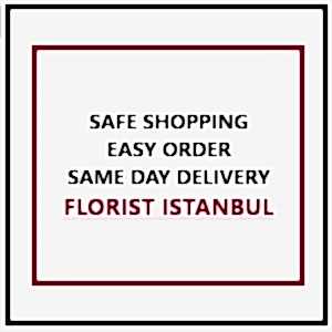 Karşılama Mesajı