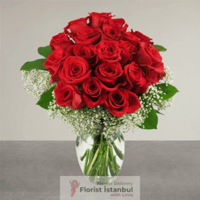  İstanbul Blumenbestellung 20 rote Rosen in Vase