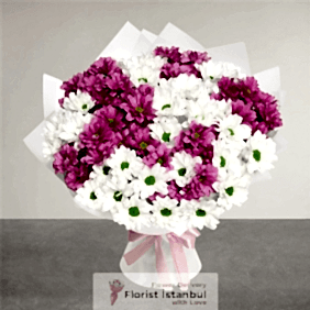 İstanbul Florist Rosa-weißer Gänseblümchenstrauß