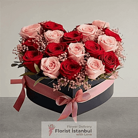İstanbul Florist 17 Rosen in einer Herzbox