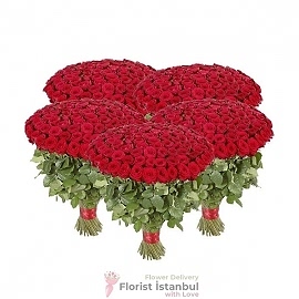  İstanbul Blumenbestellung 500 Rosenstrauß
