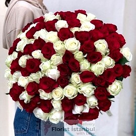  İstanbul Florist Rot-weißer Rosenstrauß 100 Rosen