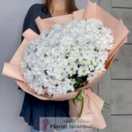  İstanbul Blumen Gänseblümchenstrauß in Megagröße