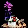 product-nav-img