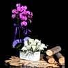 product-nav-img