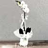 product-nav-img