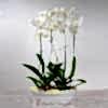 product-nav-img