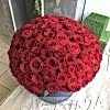 product-nav-img