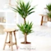 product-nav-img