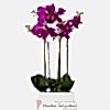 product-nav-img