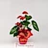 product-nav-img